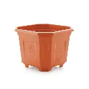 Pot Bagicha 105 Regular