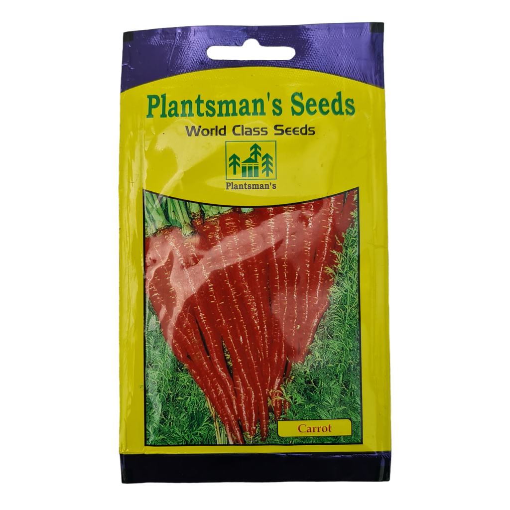 Seed Carrot Red Long