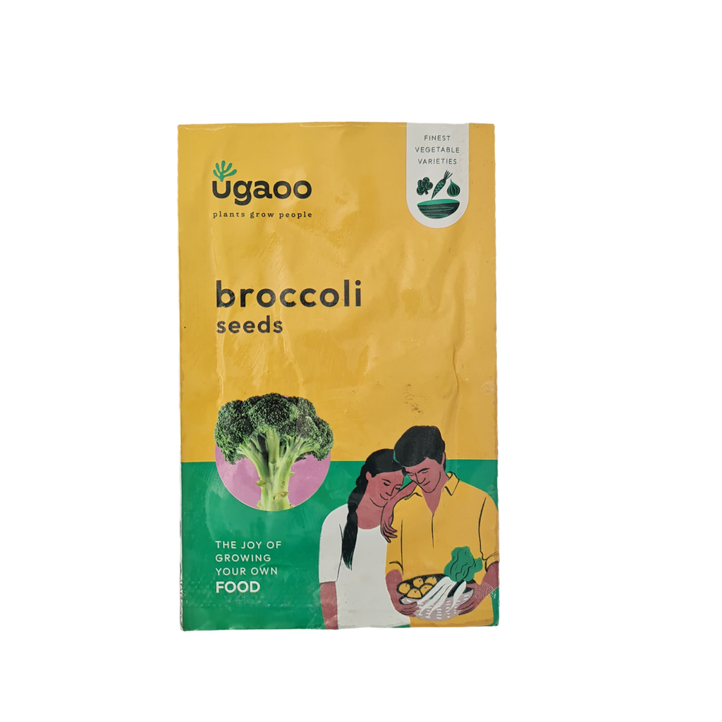 Seed Broccoli