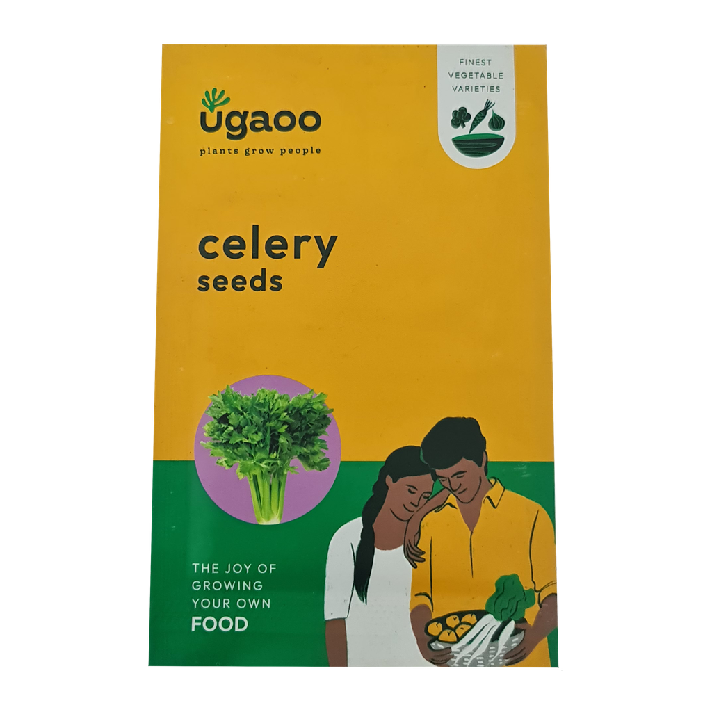 Seed Celery