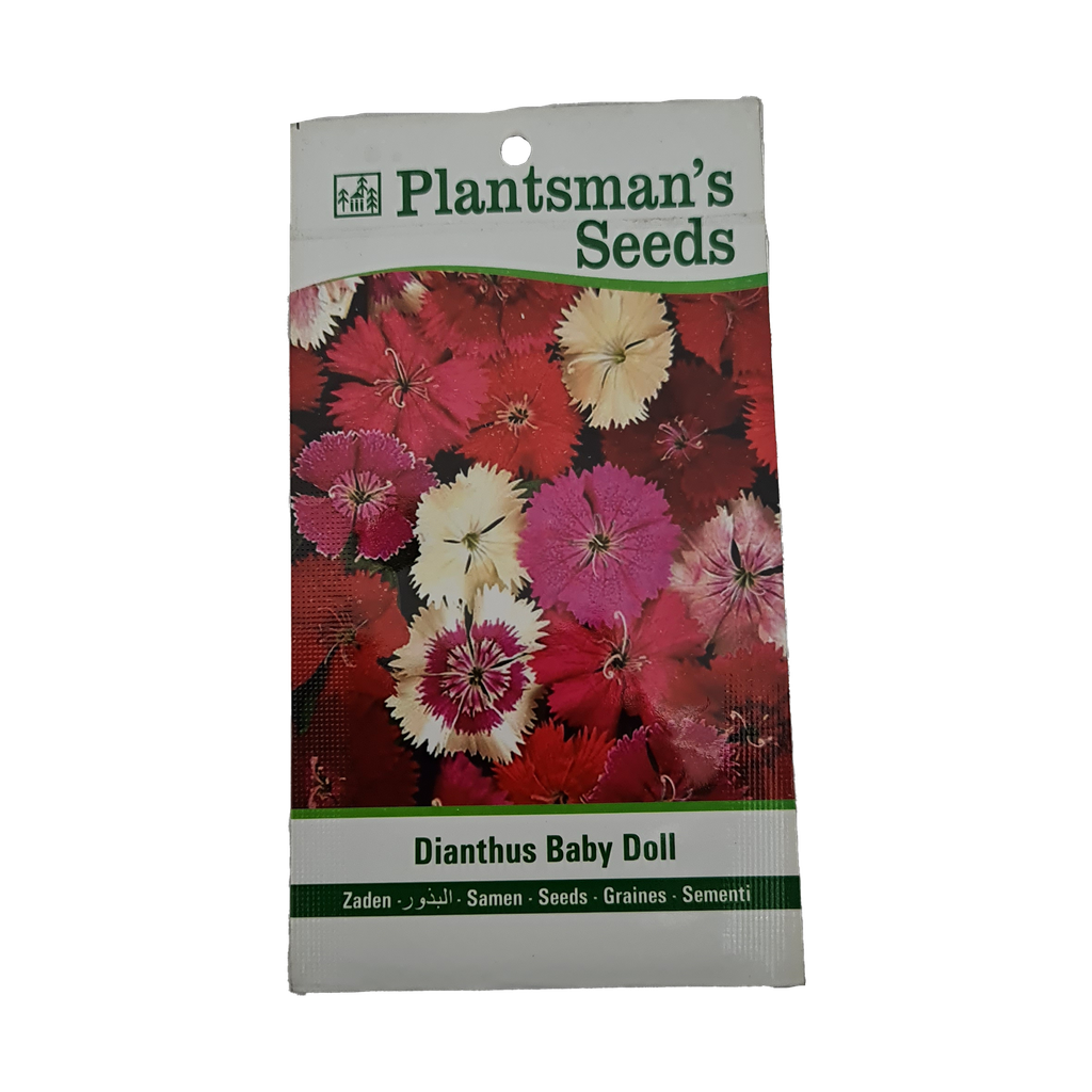 Seed Dianthus Baby Doll