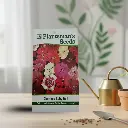 Seed Dianthus Baby Doll