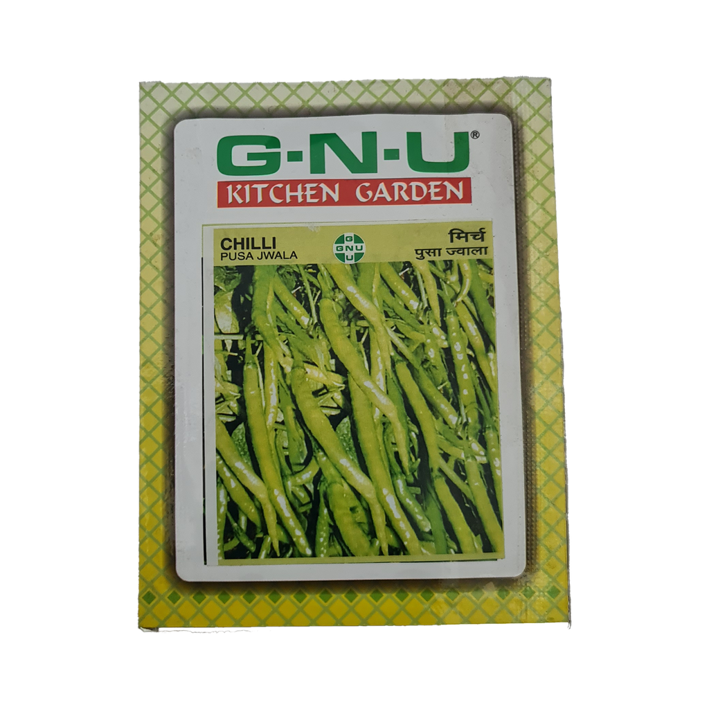 Seed Chilly Pusa Jwala (Deshi) 10 gm