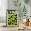 सीड चिली पूसा ज्वाला (देशी) 10 ग्रॅम