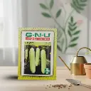 Seed Cucumber Poona Kheera 10 gm