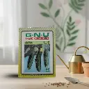 Seed Cucumber Dharwad Green 10 gm