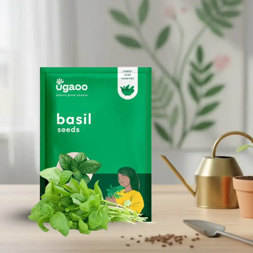 Seed Basil