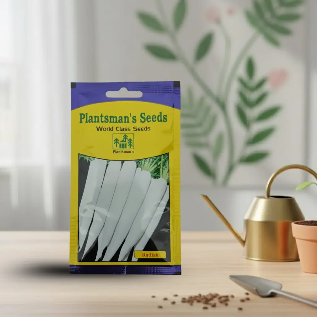 Seed Radish (Snow White)