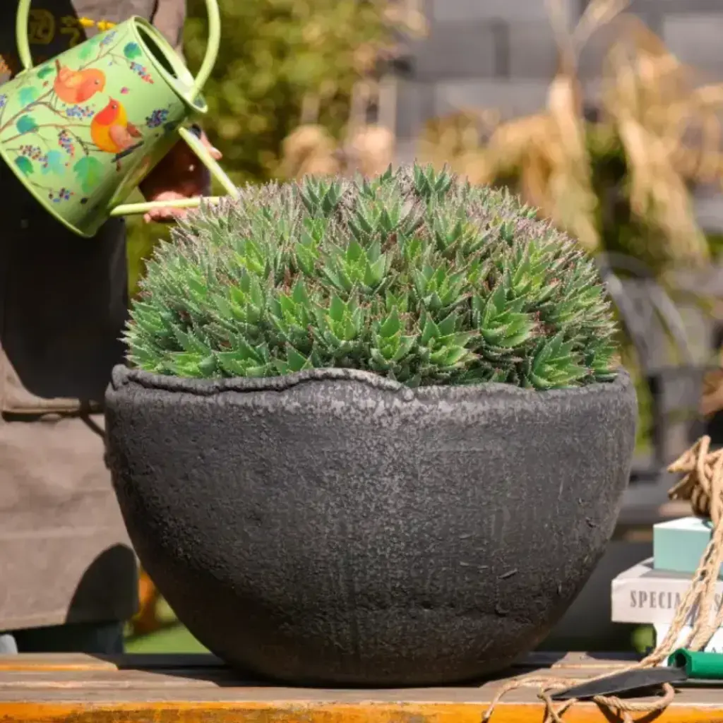 Pot Handmade Bowl Charcoal