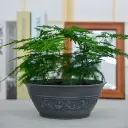 Pot Sclpture Bowl C