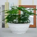 Pot Sclpture Bowl C