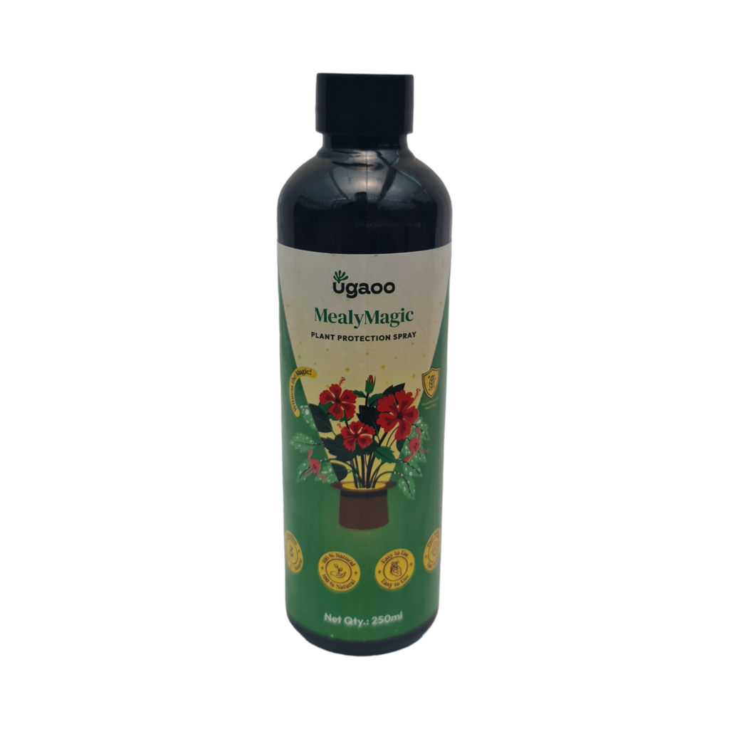 मिली मॅजिक