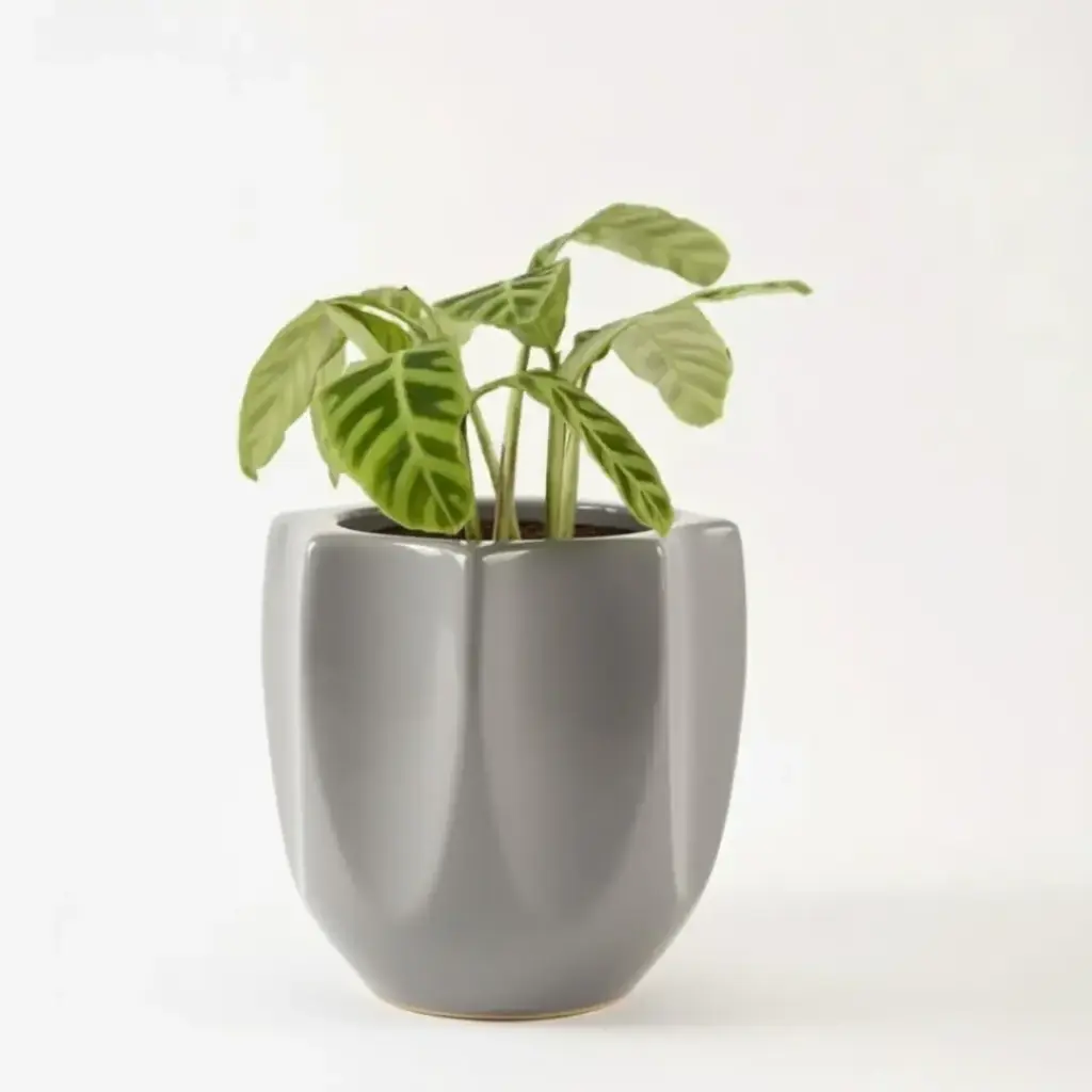 [POCM TTLG W15 H16] Pot Tranquil Tales Large (Grey)