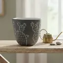 Pot Ceramic Desert cactus A577