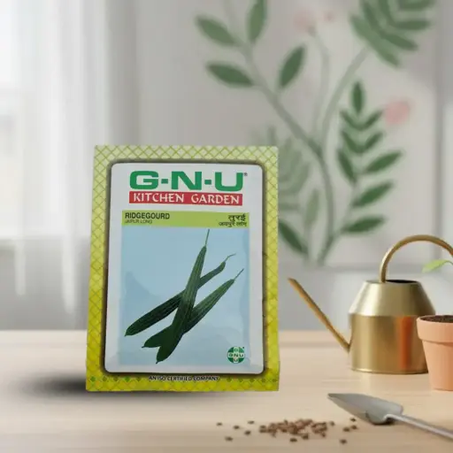 [VESE RIJL W10GM] Seed Ridgegourd Jaipur Long 10 gm