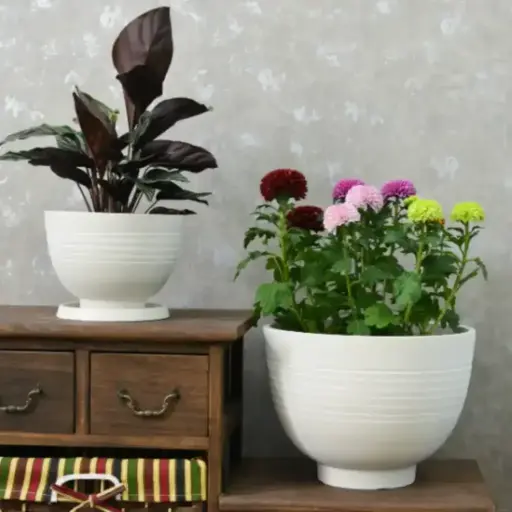 [POPS WHRO D012 H009] Pot Silk Road Bowl White Stone