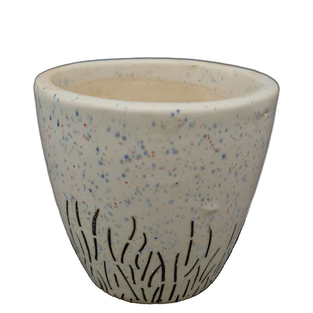 Pot Ashwani Grass Dsgn