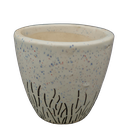 Pot Ashwani Grass Dsgn