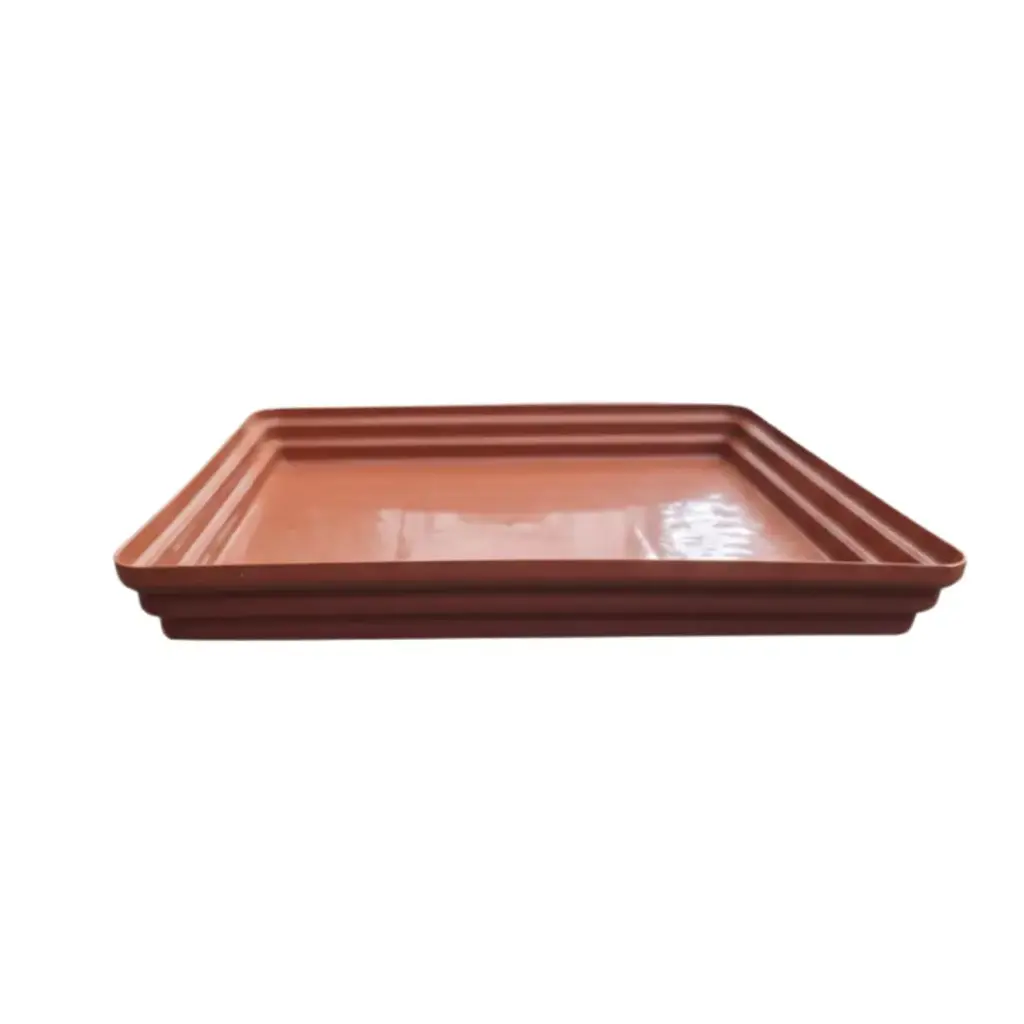 Tray No 5 TC