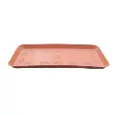 Tray No 6 TC