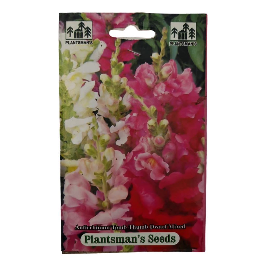 Seed Antirrhinum Nanus Hybrida Mixed