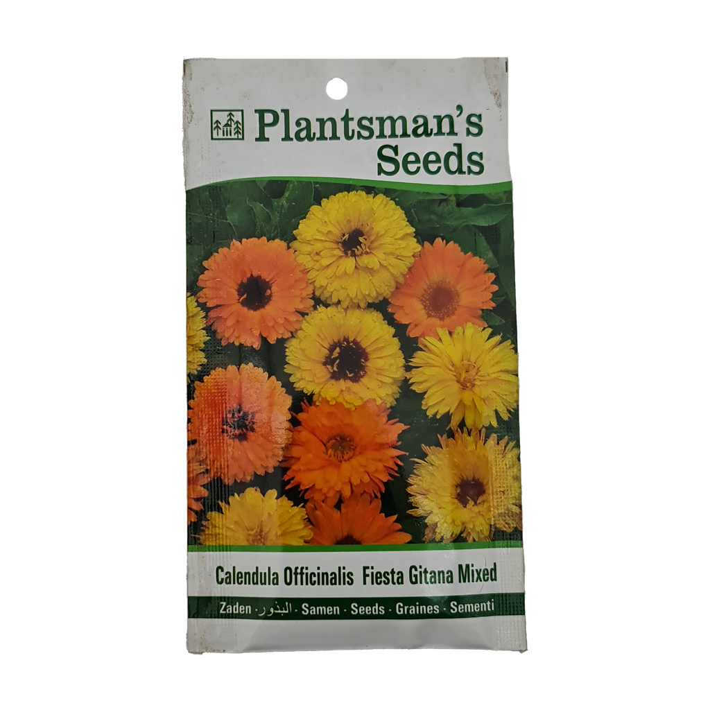 Seed Calendula