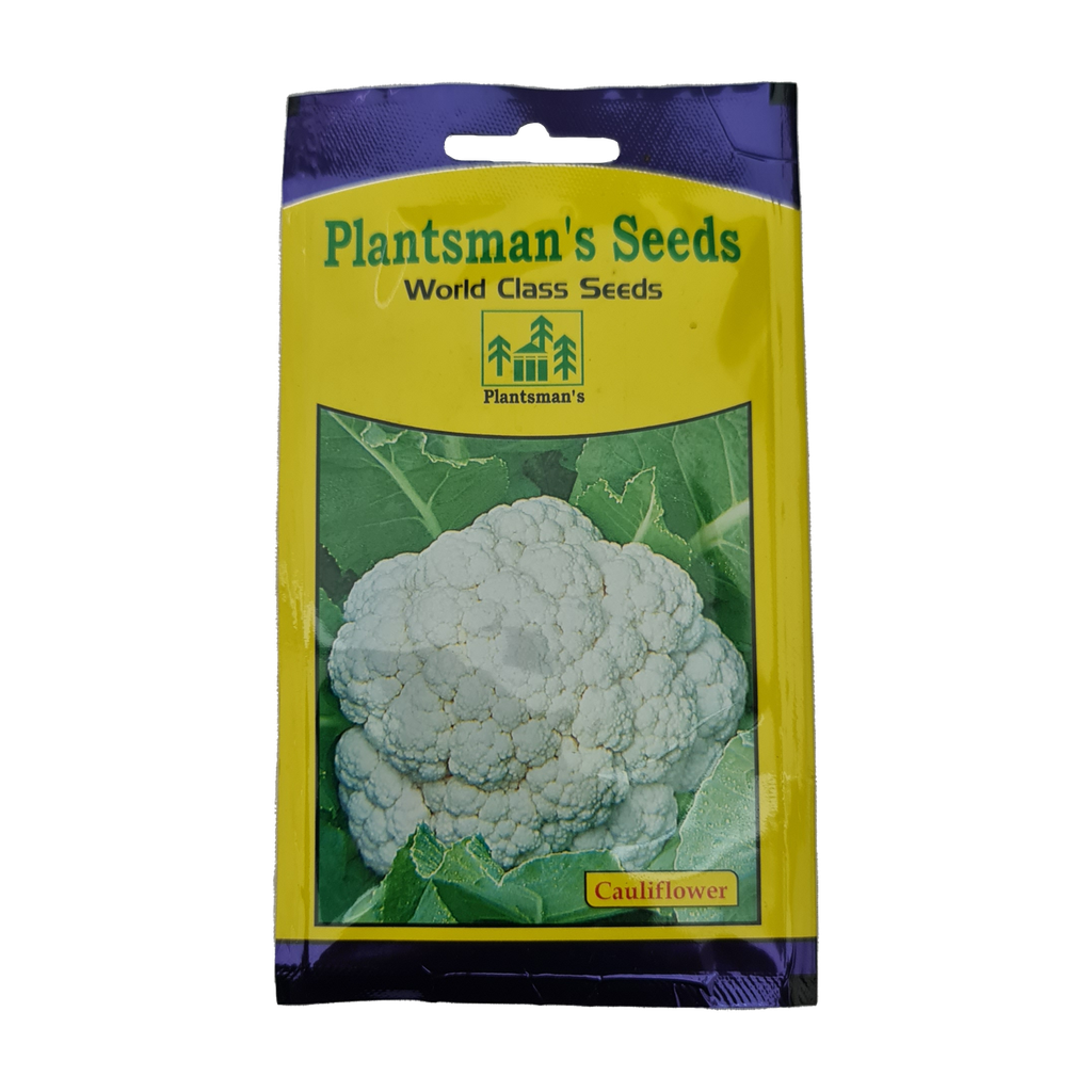 Seed Cauliflower Snow Ball