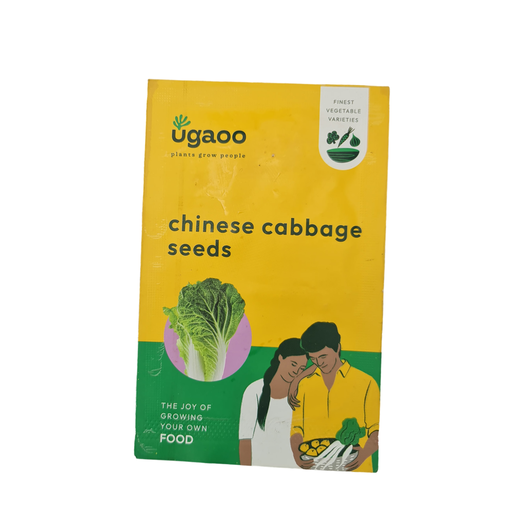 Seed Chinese Cabbage