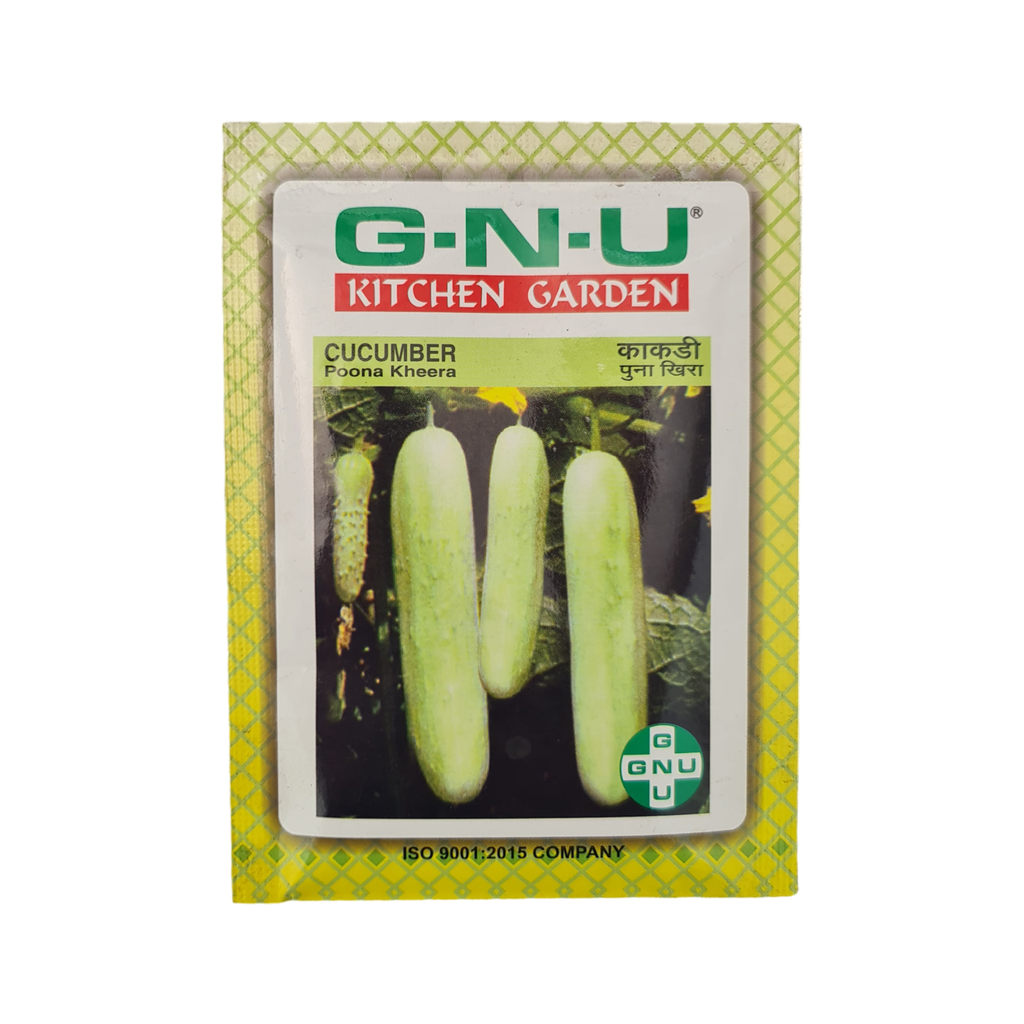 Seed Cucumber Poona Kheera 10 gm
