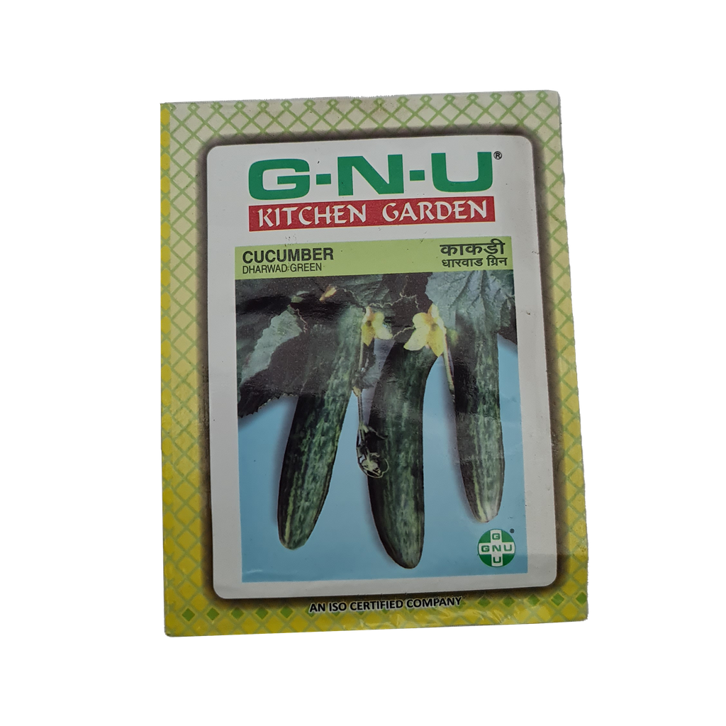 Seed Cucumber Dharwad Green 10 gm