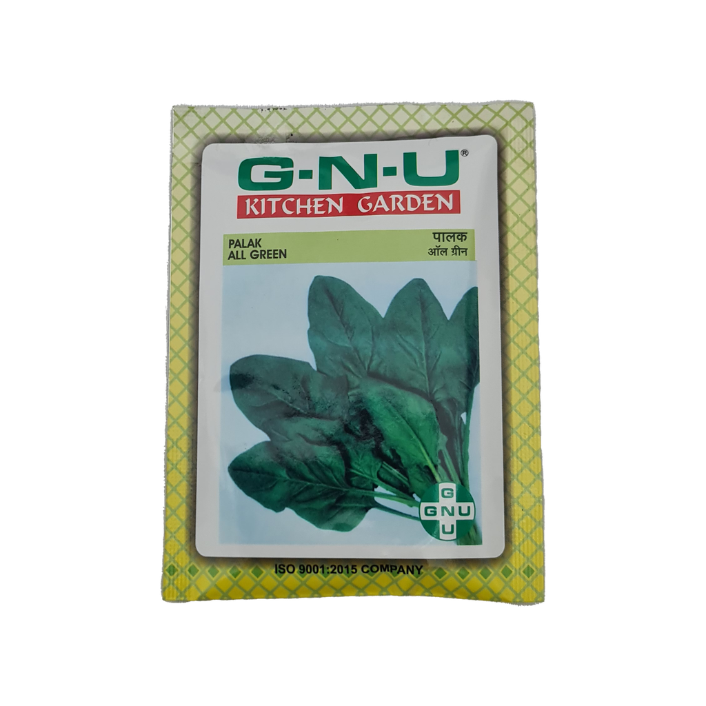 Seed Spinach All Green 10 gm