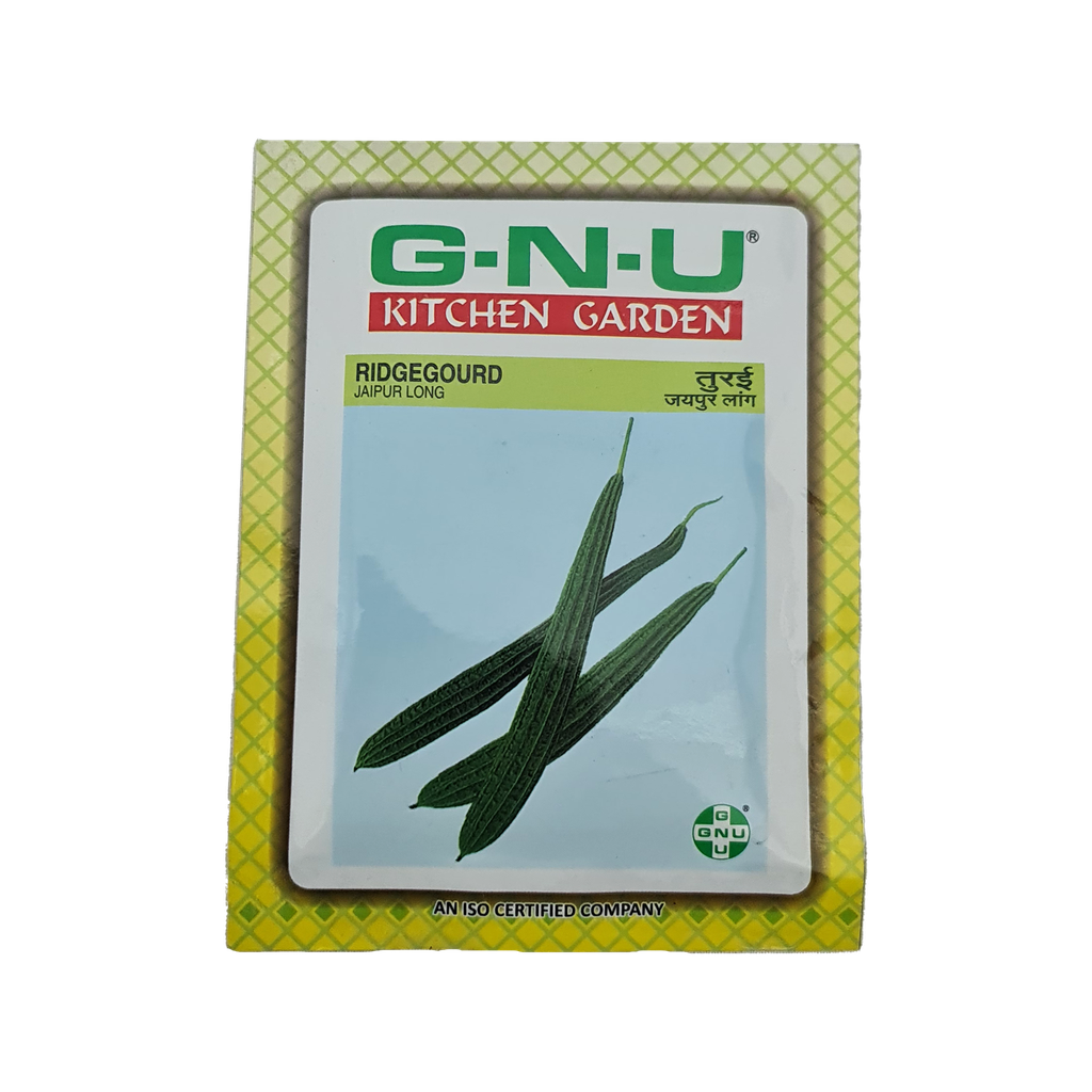Seed Ridgegourd Jaipur Long 10 gm