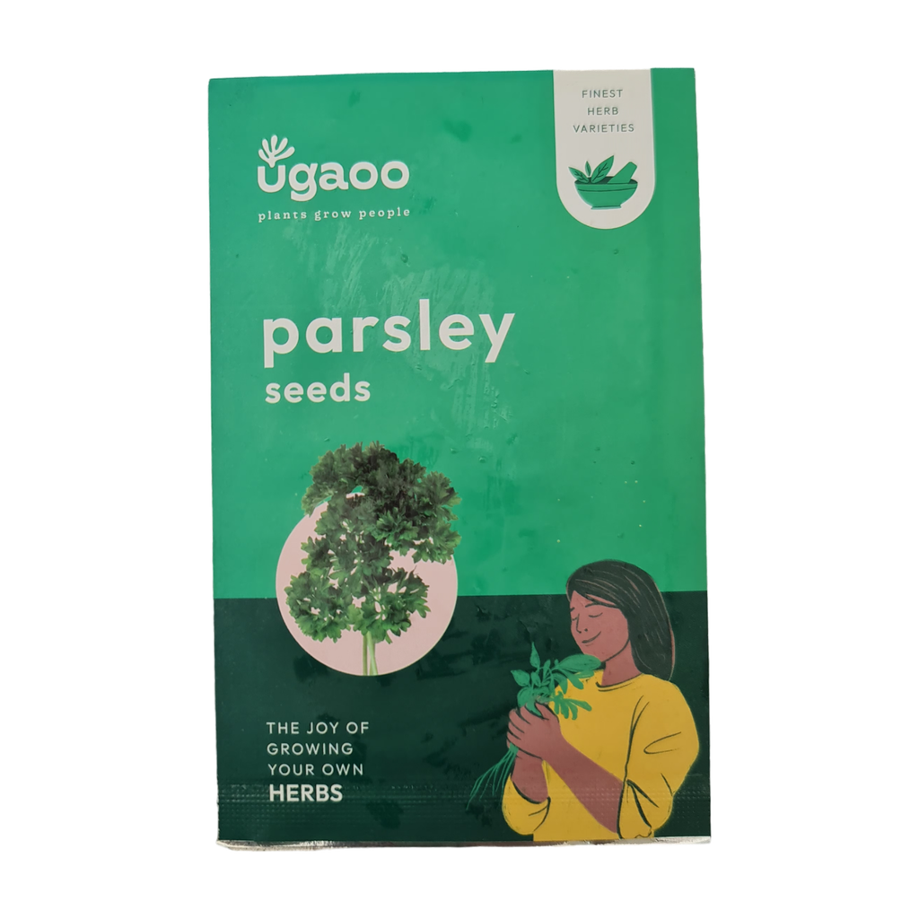 Seed Parsley