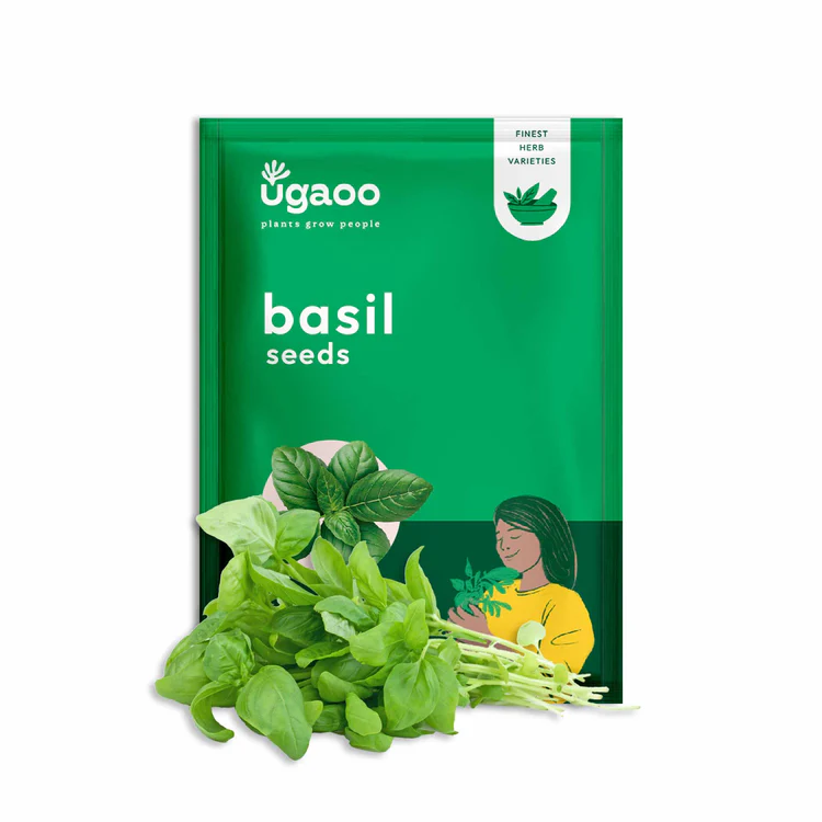 Seed Basil