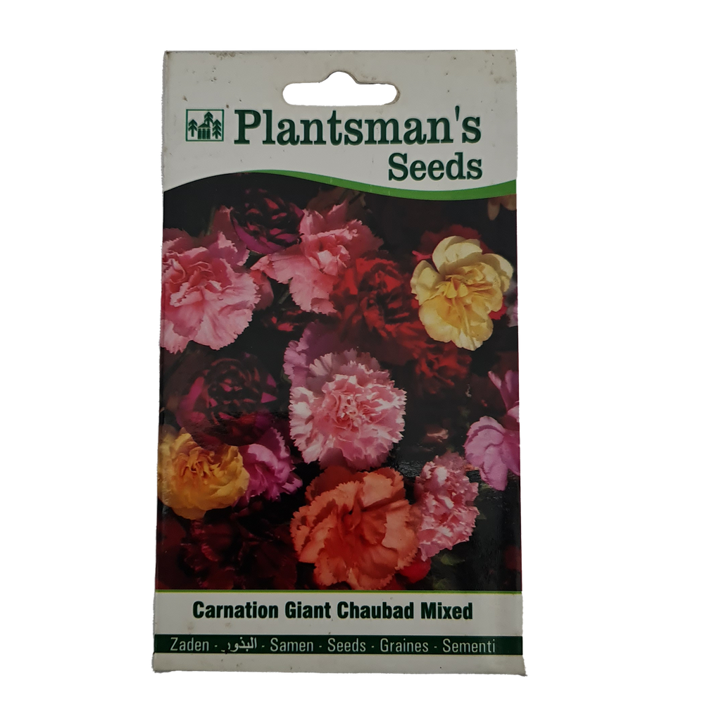 Seed Carnation Giant Chaubad Mixed