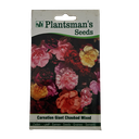 Seed Carnation Giant Chaubad Mixed