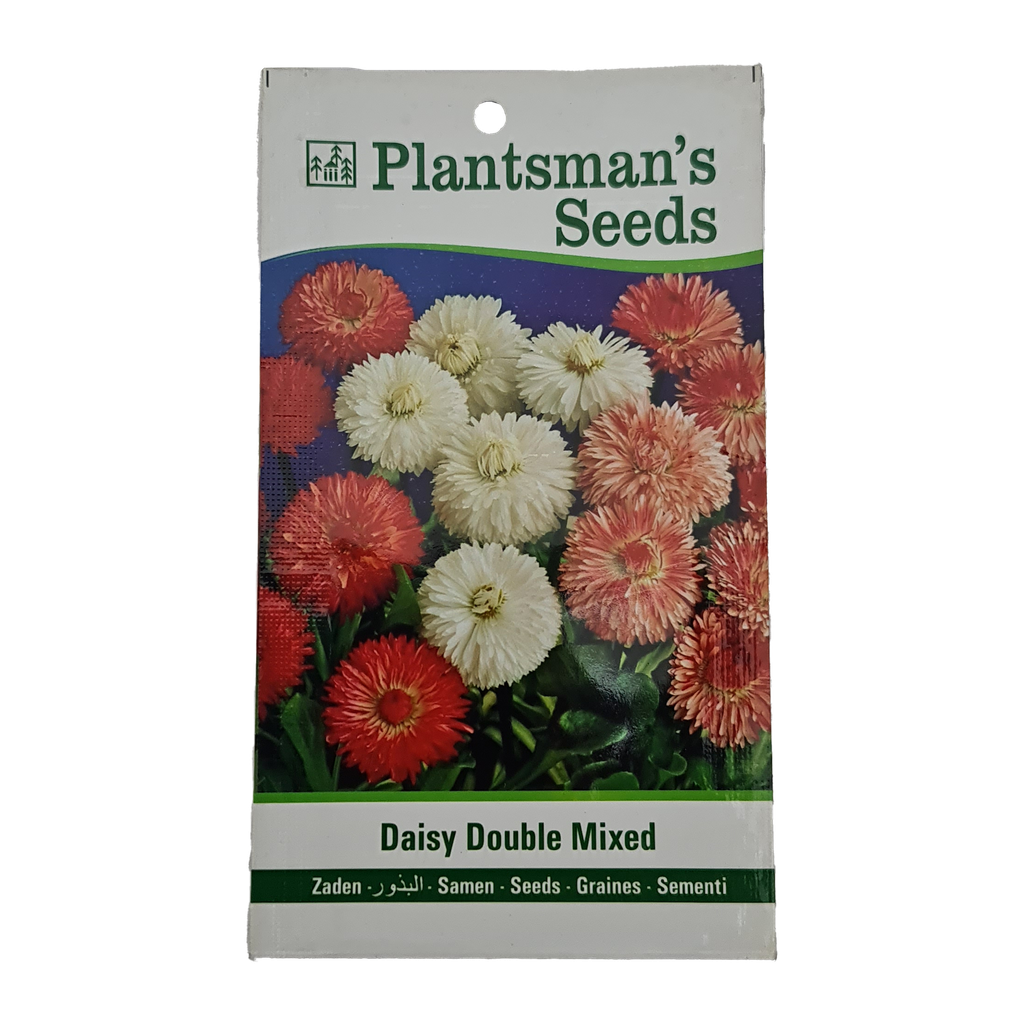 Seed Daisy Double Mixed