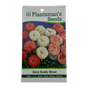 Seed Daisy Double Mixed