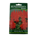 Seed Salvia St John Fire