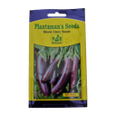 Seed Brinjal