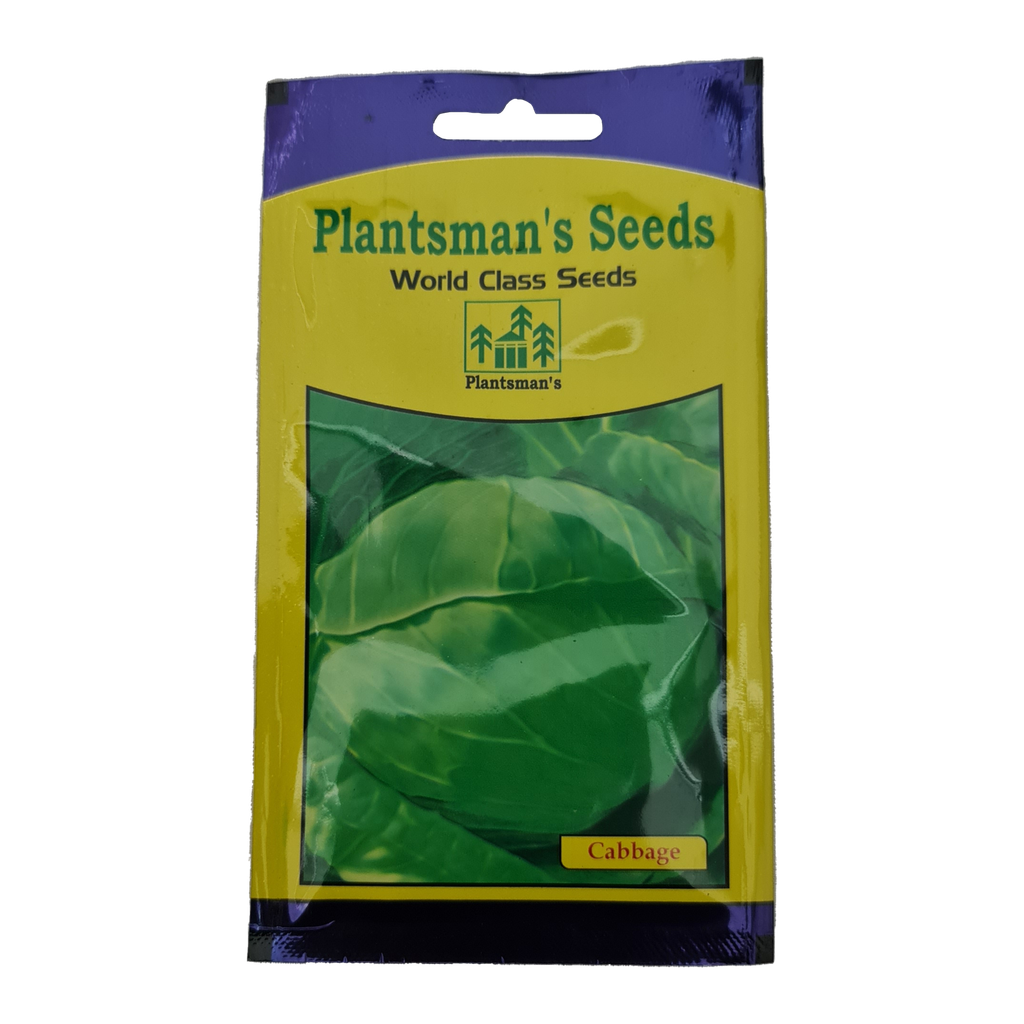 Seed Cabbage Gold Mine