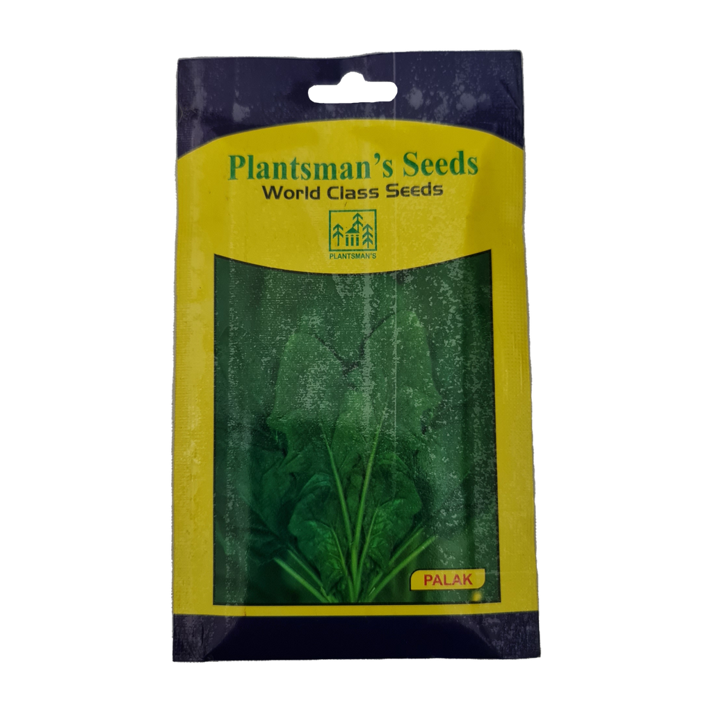 Seed Palak All Green