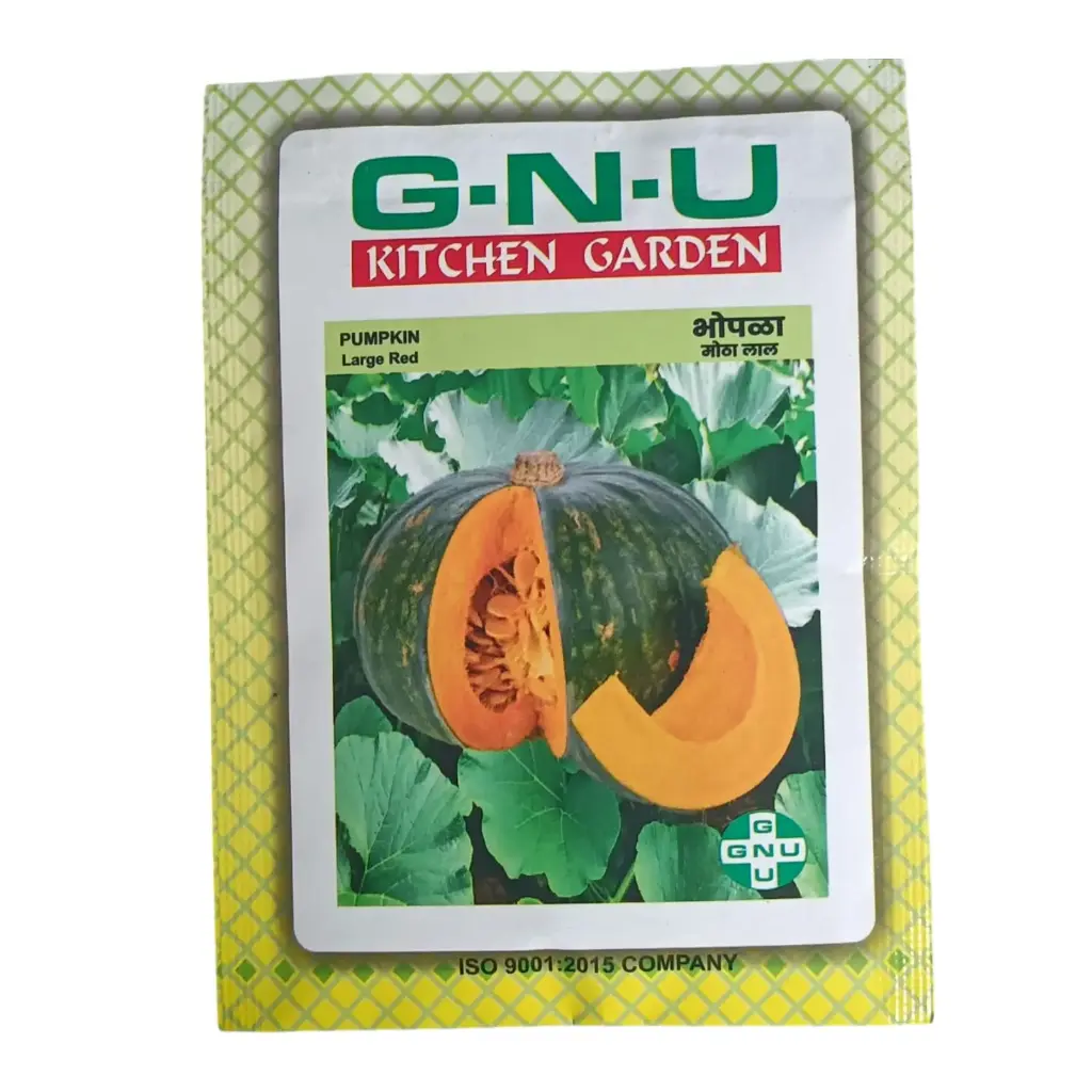 Seed Pumpkin Large Red 10 gm 