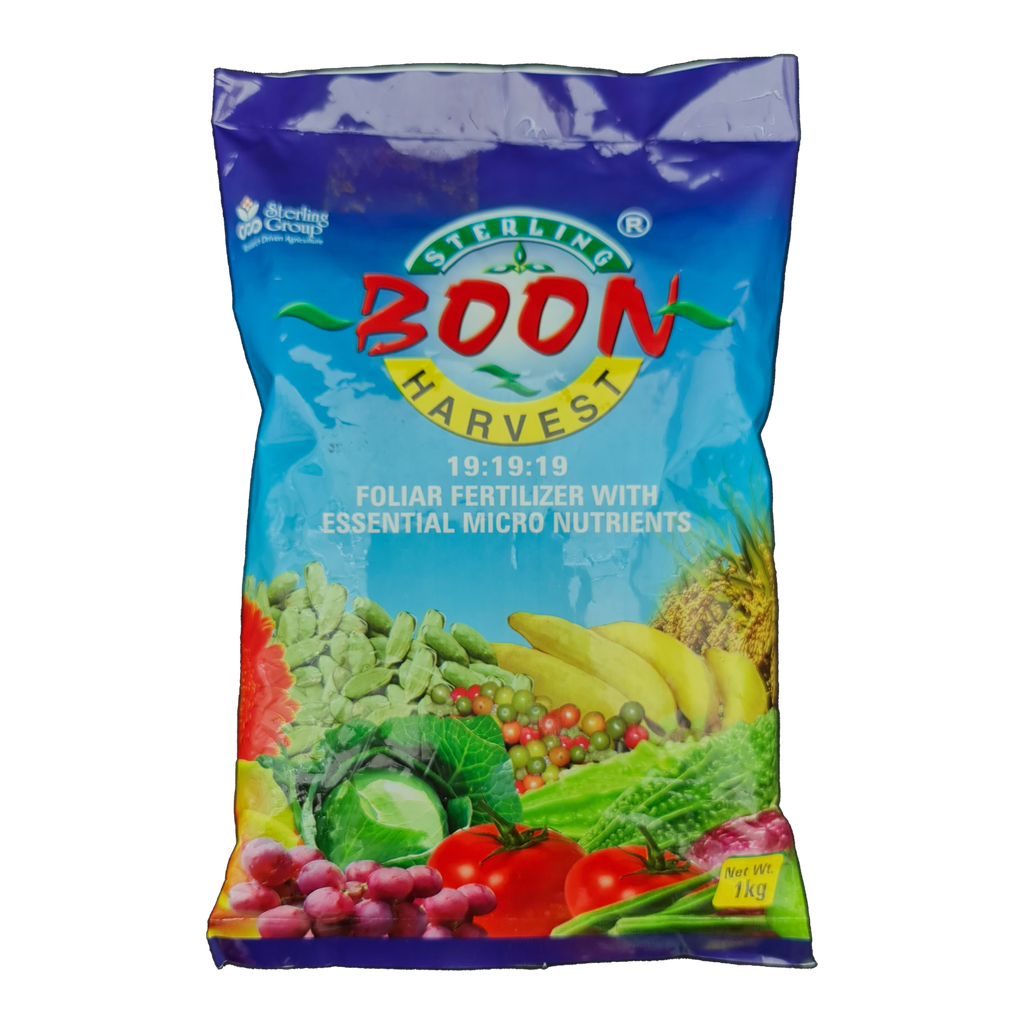 Boon Harvest