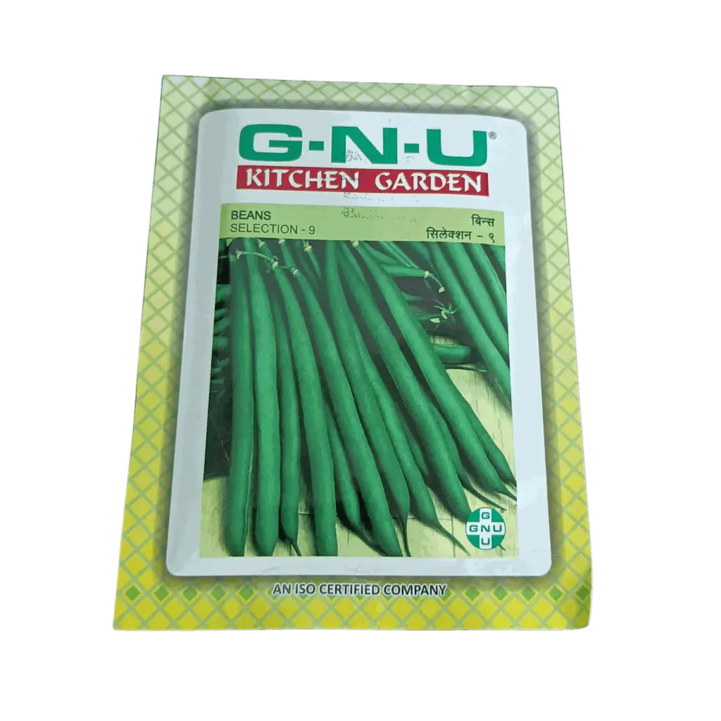 Seed Beans Selection-9