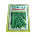 Seed Beans Selection-9