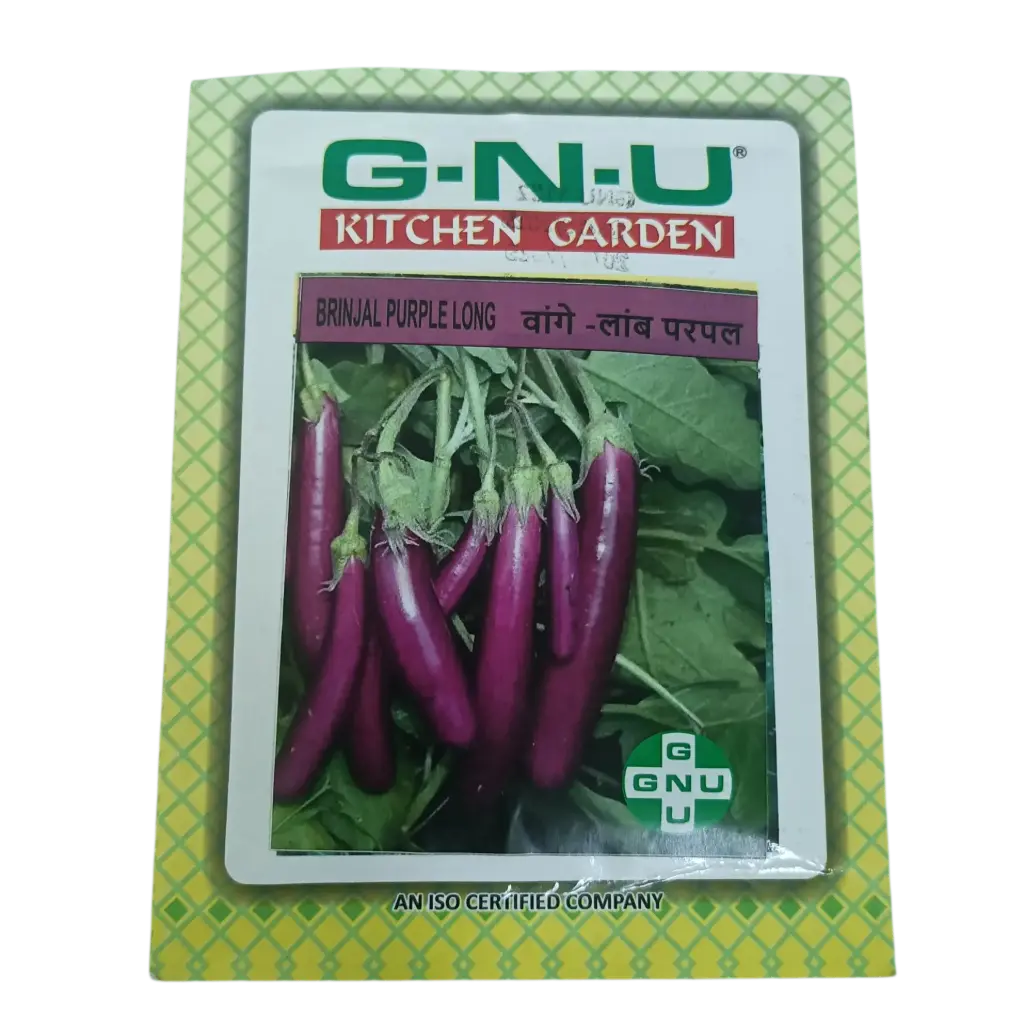 Seed Brinjal Purple Long
