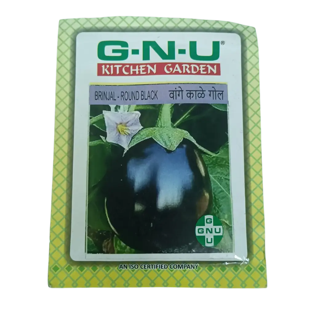 Seed Brinjal Round Black
