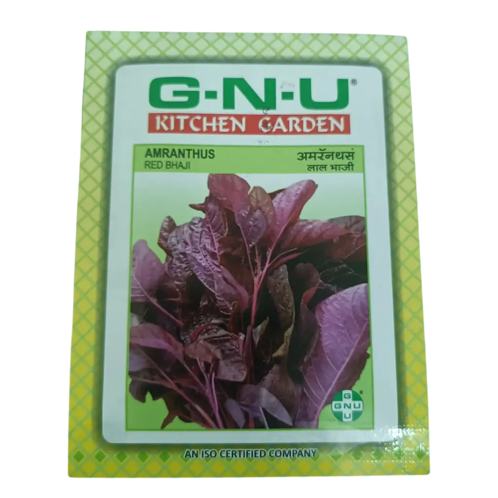 Seed Amaranthus - Red Bhaji