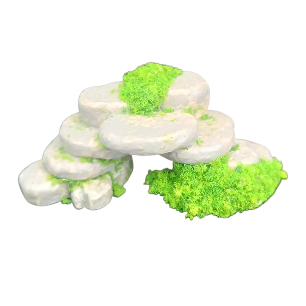 Miniature  Landscape-Mini Rockery